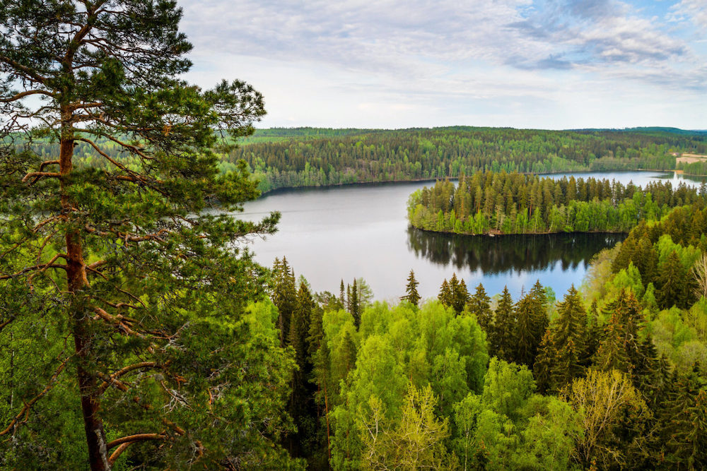 Finnland See Wald