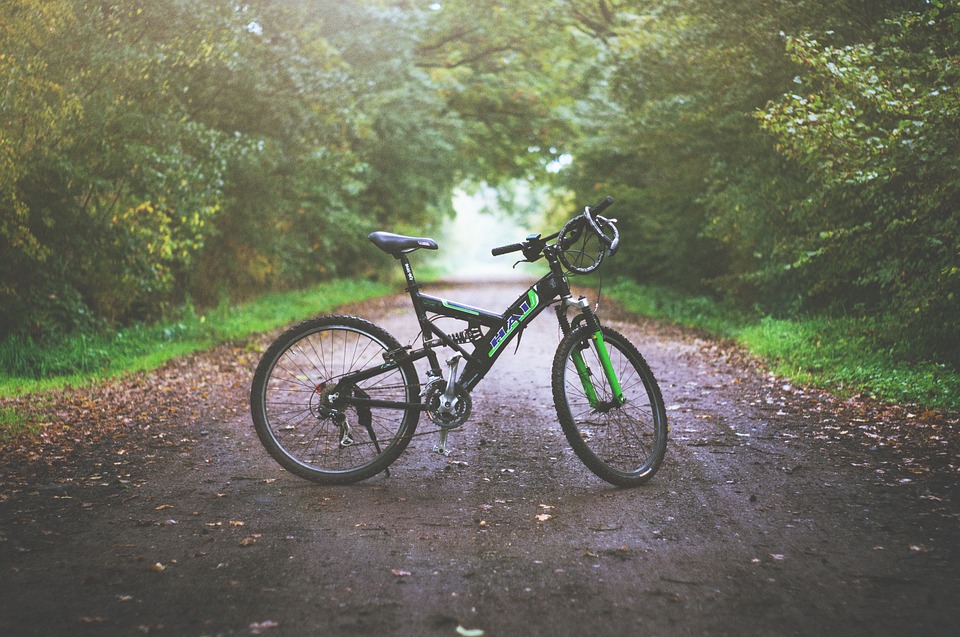 Luomajärven Hevoskievari Rundreise Fahrrad Wald