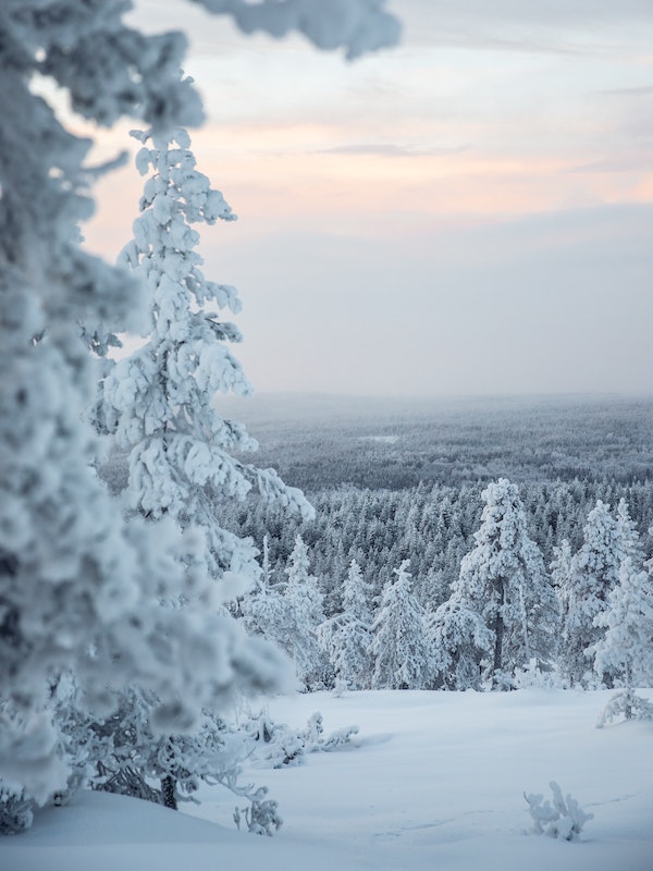 Finnland Winter © Unsplash