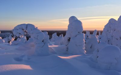 Finnland lockert Einreisebestimmungen zum 31. Januar