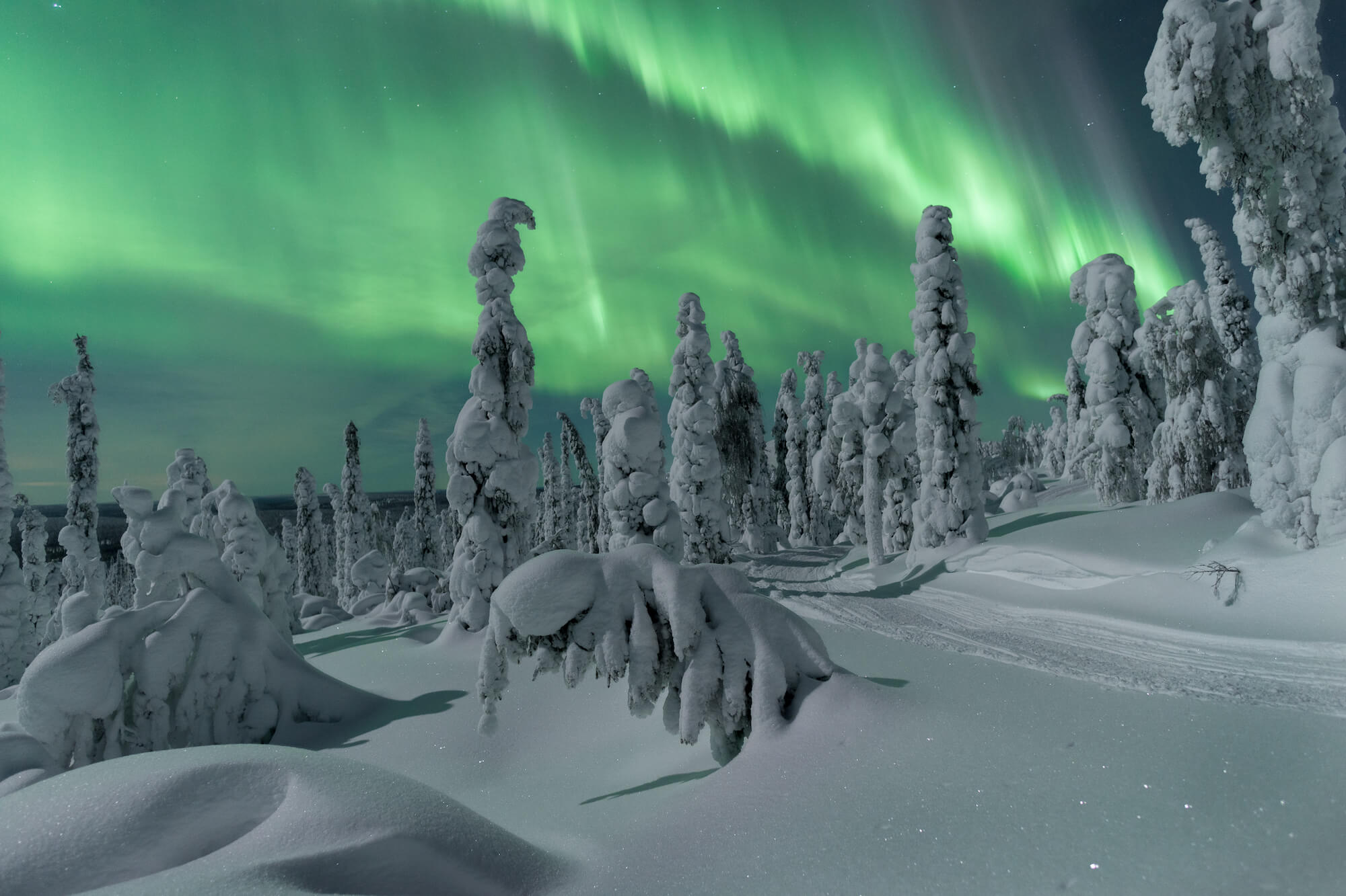 Nordlichter Lappland Finnland © Visit Finland _ Thomas Kast