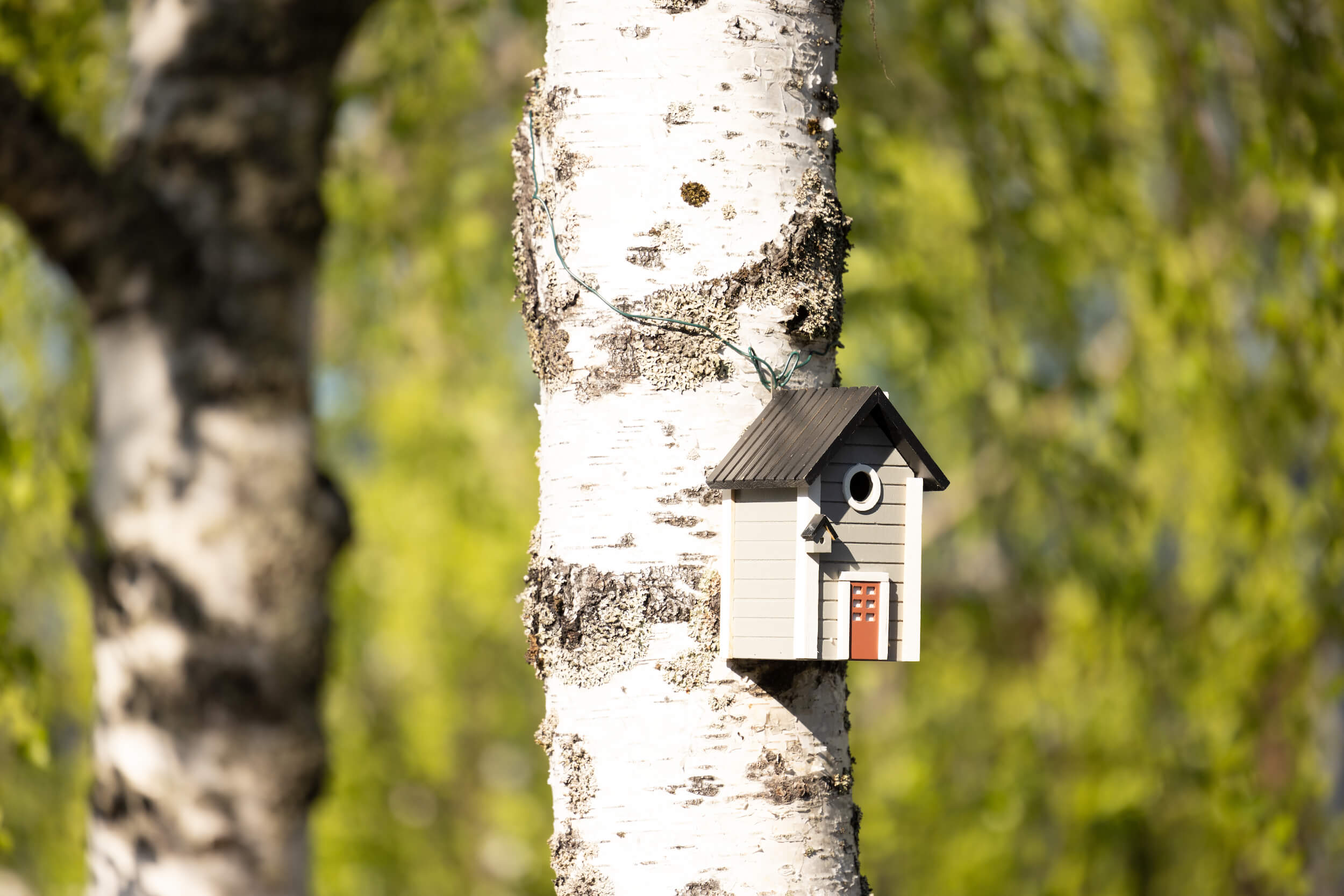 Wooden Nurmes Vogelhaus © Harri Tarvainen