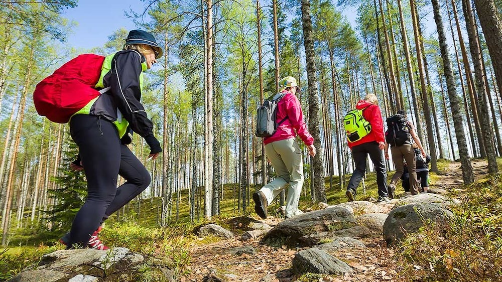 Nationalpark Tiilikkajärvi Vuokatti Wandern