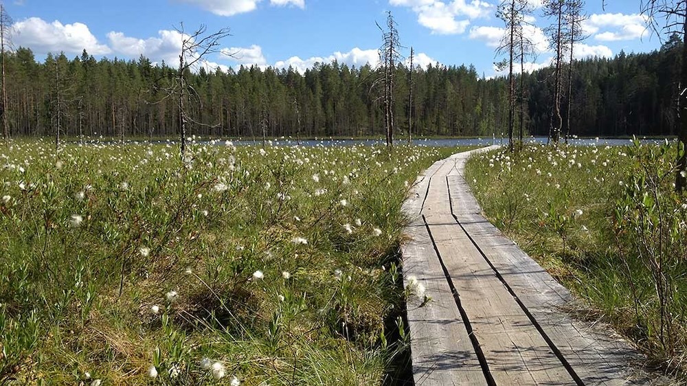 Vuokatti Nationalpark Hiidenportti Weg